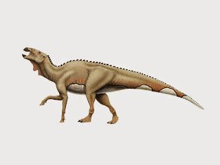 Plagiopsia de un  ̶G̶o̶r̶g̶o̶s̶a̶u̶r̶u̶s̶  Tyrannosaurus