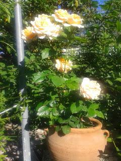 Patchwork y premios... Patchwork y premios...