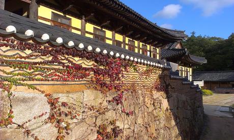 COREA DEL SUR: UNA NOCHE  EN EL TEMPLO HAEINSA