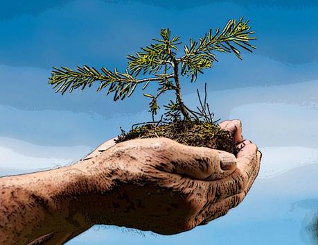 Amar es Dar, por Erich Fromm Amar es Dar, por Erich Fromm