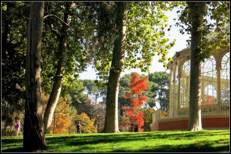 Cosas que tienes que hacer si visitas Madrid, por @GoEuro GoEuro - que ver en Madrid - El retiro