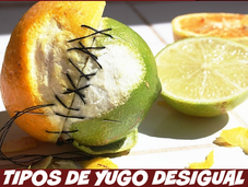 Tipos yugo desigual