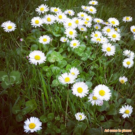 Hoy compartimos…verde Hoy compartimos…verde