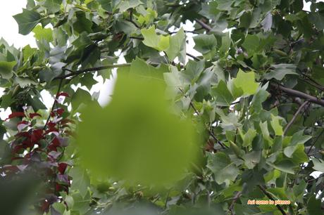 Hoy compartimos…verde Hoy compartimos…verde