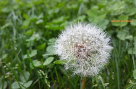 Hoy compartimos…verde Hoy compartimos…verde