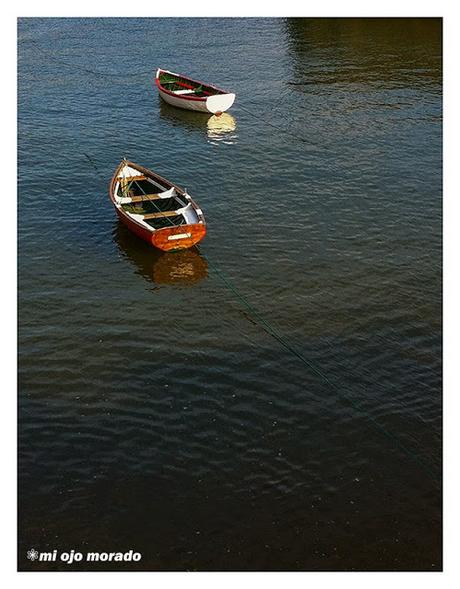 Volverá la calma Volverá la calma