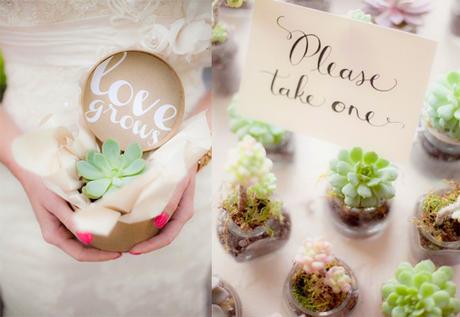 3 Grandes Ideas Para Hacer Recuerdos de Matrimonio 3 Grandes Ideas Para Hacer Recuerdos de Matrimonio