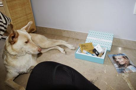 GUAPABOX DE MAYO. GUAPABOX DE MAYO.