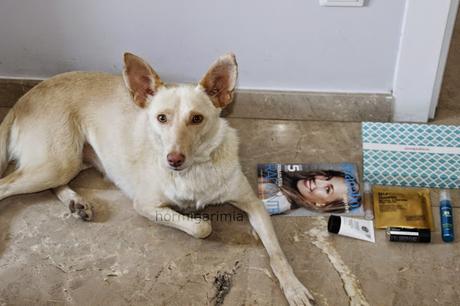 GUAPABOX DE MAYO. GUAPABOX DE MAYO.