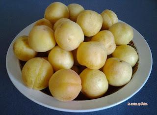 Mermelada de albaricoque Mermelada de albaricoque