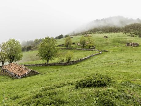 Parque Natural de Redes (Las brañas de Felechosa)