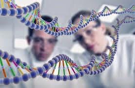 ¿Qué es y en qué consiste el consejo genético?