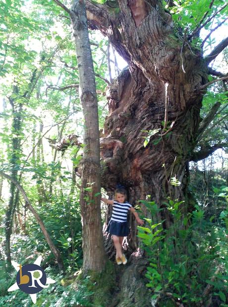 Mis niños combinados!! I love Mis niños combinados!! I love