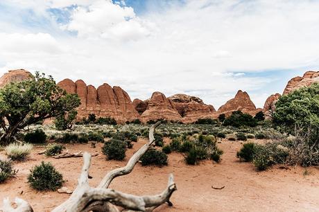Arches National Park Arches_National_Park-Utah-Dead_Horse_Point-Canyonlands-Off_The_Shoulder_Top-Bandana_Turbant-Converse-Travel_Look-Outfit-Collage_Vintage-17