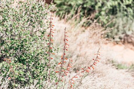 Arches National Park Arches_National_Park-Utah-Dead_Horse_Point-Canyonlands-Off_The_Shoulder_Top-Bandana_Turbant-Converse-Travel_Look-Outfit-Collage_Vintage-76