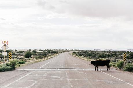 Arches National Park Arches_National_Park-Utah-Dead_Horse_Point-Canyonlands-Off_The_Shoulder_Top-Bandana_Turbant-Converse-Travel_Look-Outfit-Collage_Vintage-10