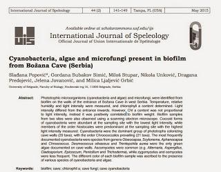 Cianobacterias, algas y mocrohongos en una cueva de Serbia Cianobacterias, algas y mocrohongos en una cueva de Serbia