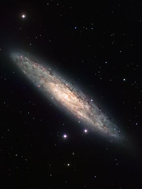 Galaxia espiral NGC 253