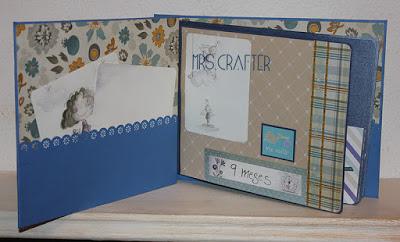 DIARIO DE EMBARAZO DIARIO DE EMBARAZO