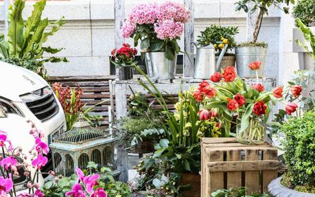 Jorge Juan se llena de flores en un mercadillo al aire libre flores01