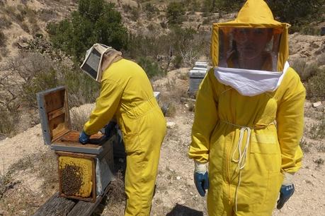 Excursión a Aigües de Busot. Aprendiendo sobre las abejas.