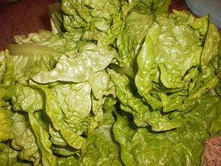 ENSALADA DE COGOLLOS DE LECHUGA MALAGUEÑA, TOMATES, HUEVO Y SARDINAS EN CONSERVA. ENSALADA DE COGOLLOS DE LECHUGA MALAGUEÑA, TOMATES, HUEVO Y SARDINAS EN CONSERVA.