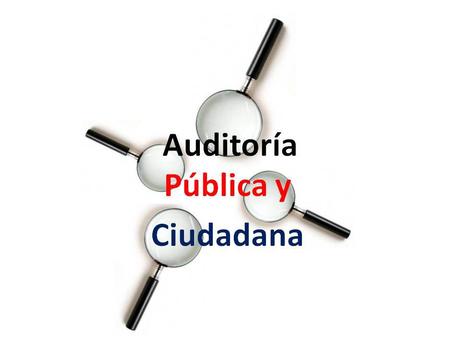 Mi respaldo a la propuesta del lanzamiento de la plataforma para la Auditoría Pública y Popular.