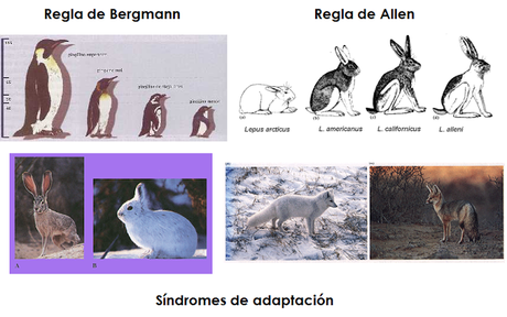 Los seres vivos y las condiciones de su entorno