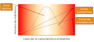 Los seres vivos y las condiciones de su entorno