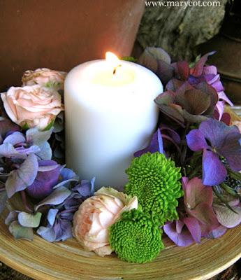 Las flores toman el asfalto Las flores toman el asfalto