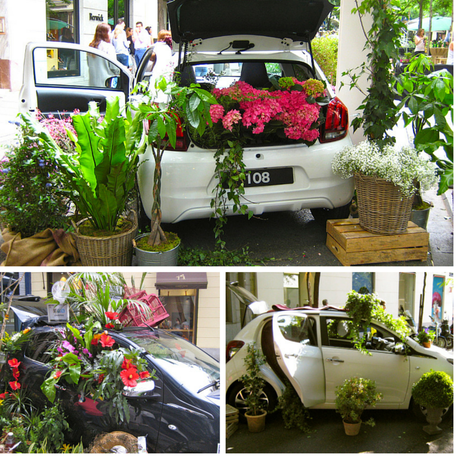 Las flores toman el asfalto Las flores toman el asfalto