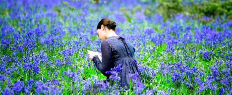 Conociendo blogs *38* http://perezosa69.blogspot.com.es/