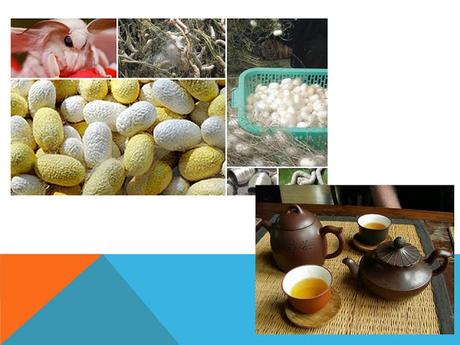 HISTORIA ECONOMICA MUNDIAL: ASIA EN IMÁGENES HISTORIA ECONOMICA MUNDIAL: ASIA EN IMÁGENES