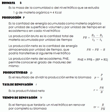 Estructura y dinámica de los ecosistemas