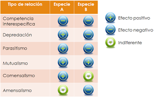 Estructura y dinámica de los ecosistemas