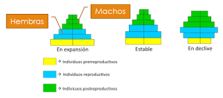 Estructura y dinámica de los ecosistemas