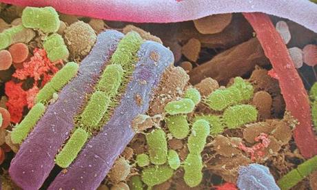 ¡Somos únicos! ¡Somos únicos!