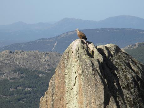 MIRAR DESDE ARRIBA MIRAR DESDE ARRIBA