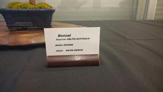 Los Suisekis y Bonsais de la exposicion (Sant Pere) Los Suisekis y Bonsais de la exposicion (Sant Pere)