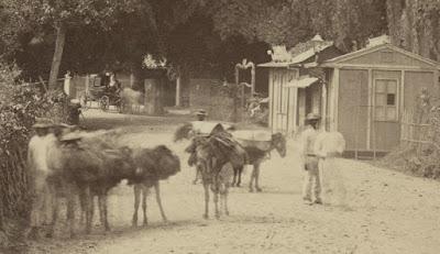 Raras fotos de Caracas en 1880