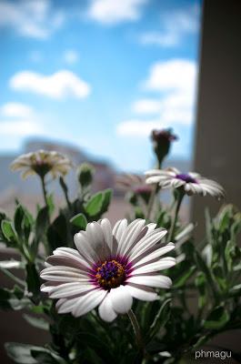 ♔ Proyecto de la A a la Z ♢ ♔ Proyecto de la A a la Z ♢