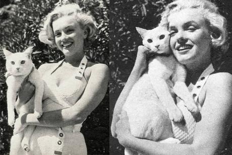 Las mascotas de Marilyn Monroe