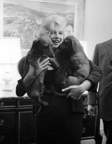 Las mascotas de Marilyn Monroe