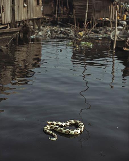 Cristina de Middel. This is what hatred did 4.2