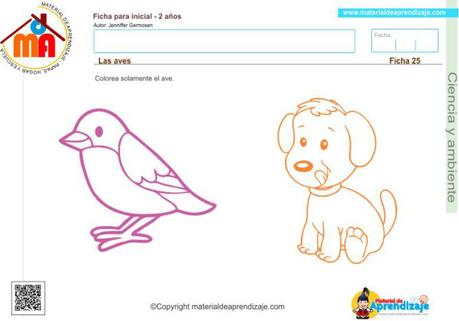 Ciencia y Ambiente 2 años 25: las aves 25 ciencia y ambiente 2 años - las aves