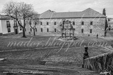 BAEZA (JAÉN): Fotografías en Blanco/Negro y Sepias