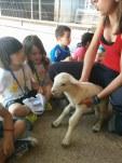 Excursión a la Granja-Escuela Excursión a la Granja-Escuela