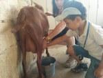 Excursión a la Granja-Escuela Excursión a la Granja-Escuela
