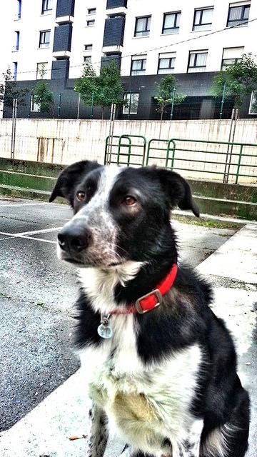 Androidografia Barakaldo CDLXXXI. Pensativo #fotografia Androidografia Barakaldo 1738