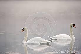 Relatámpagos Relatámpagos